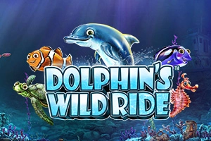 Dolphins Wild Ride